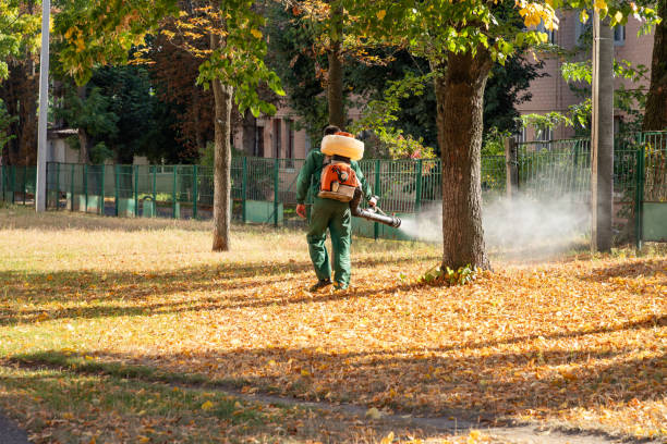 Best Pest Removal Services  in Saunders Lake, OR
