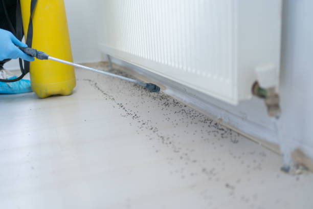 Best Affordable Pest Control Services  in Saunders Lake, OR